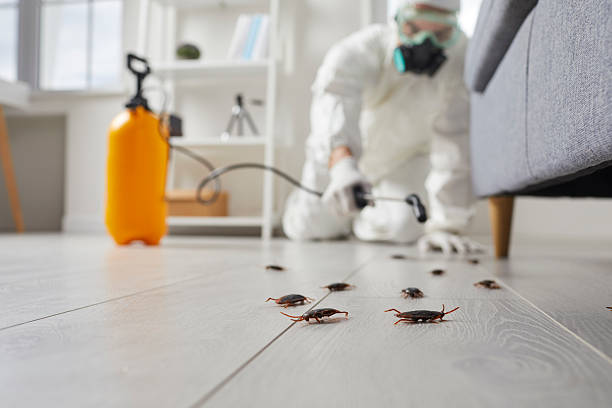 Commercial Kitchen Cockroach Control in Cudjoe Key